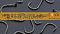 《1号新关东钩可以钓多小的鱼？》封面图