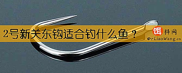 2号新关东钩适合钓什么鱼