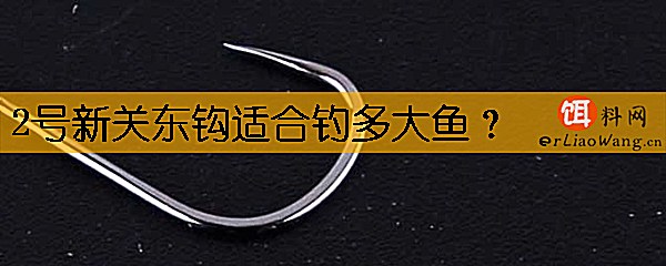 2号新关东钩适合钓多大鱼