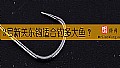 《2号新关东钩适合钓多大鱼？》封面图