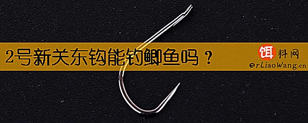 2号新关东钩能钓鲫鱼吗