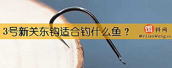 3号新关东钩适合钓什么鱼