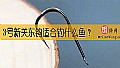 《3号新关东钩适合钓什么鱼?》封面图