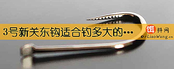 3号新关东钩适合钓多大的鱼