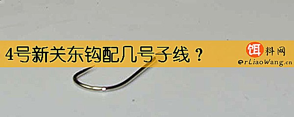 4号新关东钩配几号子线