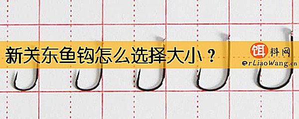 新关东鱼钩怎么选择大小