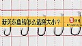 新关东鱼钩怎么选择大小?