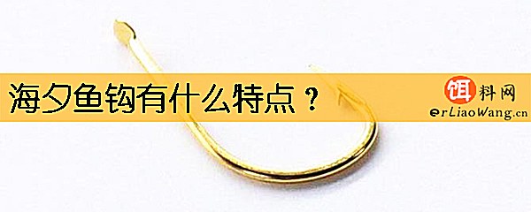 海夕鱼钩有什么特点