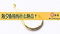 海夕鱼钩有什么特点?