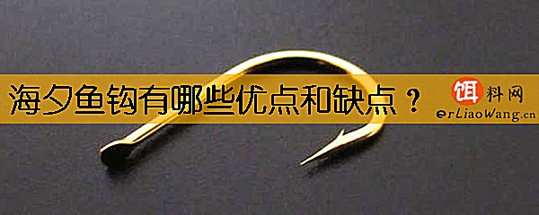 海夕鱼钩有哪些优点和缺点