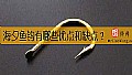 海夕鱼钩有哪些优点和缺点?