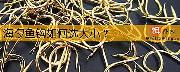 海夕鱼钩如何选大小