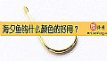 《海夕鱼钩什么颜色的好用？》封面图