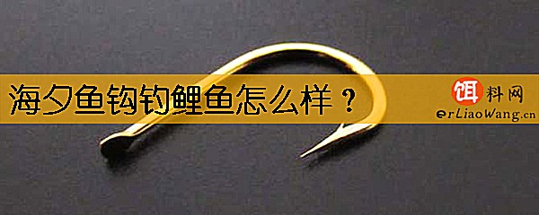 海夕鱼钩钓鲤鱼怎么样