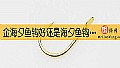 《金海夕鱼钩好还是海夕鱼钩好？》封面图