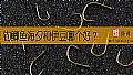 《钓鲫鱼海夕和伊豆哪个好?》封面图