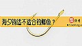 《海夕钩适不适合钓鲫鱼?》封面图