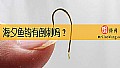 《海夕鱼钩有倒刺吗?》封面图