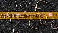 《海夕钩和伊豆钩有什么区别?》封面图