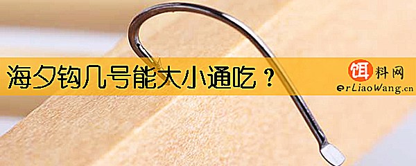 海夕钩几号能大小通吃