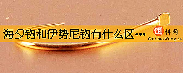 海夕钩和伊势尼钩有什么区别