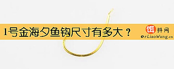 1号金海夕鱼钩尺寸有多大