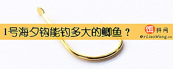 1号海夕钩能钓多大的鲫鱼
