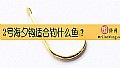 《2号海夕钩适合钓什么鱼？》封面图