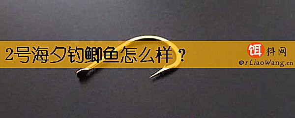 2号海夕钓鲫鱼怎么样