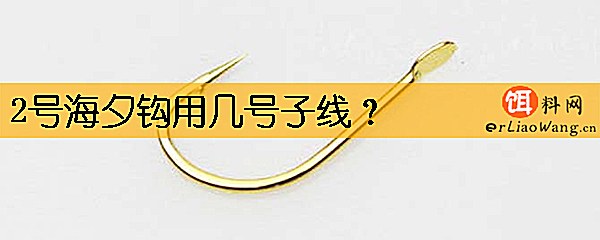 2号海夕钩用几号子线