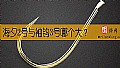 海夕2号与袖钩3号哪个大？