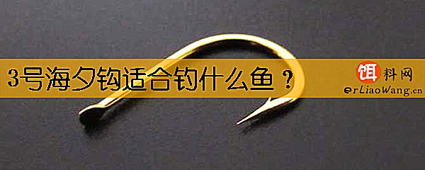 3号海夕钩适合钓什么鱼