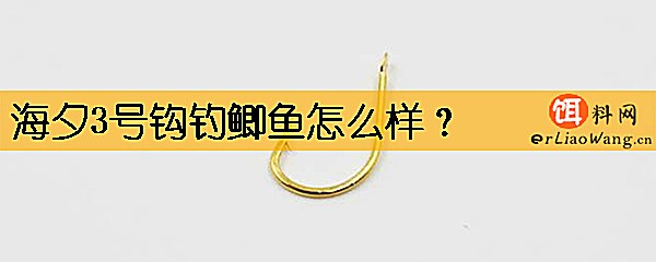 海夕3号钩钓鲫鱼怎么样