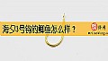 《海夕3号钩钓鲫鱼怎么样?》封面图