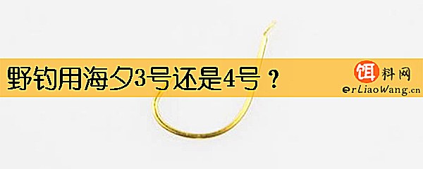 野钓用海夕3号还是4号
