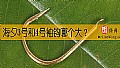 《海夕3号和4号袖钩哪个大?》封面图