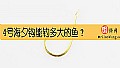 《4号海夕钩能钓多大的鱼？》封面图