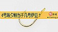 《4号海夕相当于几号伊豆？》封面图