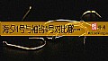 《海夕4号与袖钩4号对比哪个大？》封面图