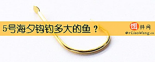 5号海夕钩钓多大的鱼