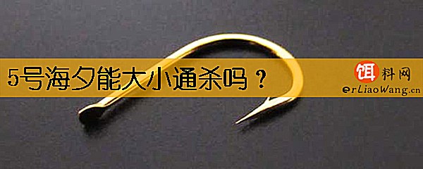 5号海夕能大小通杀吗