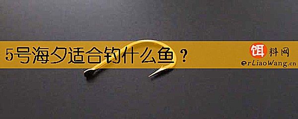 5号海夕适合钓什么鱼