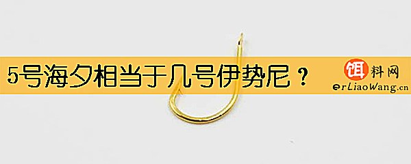5号海夕相当于几号伊势尼