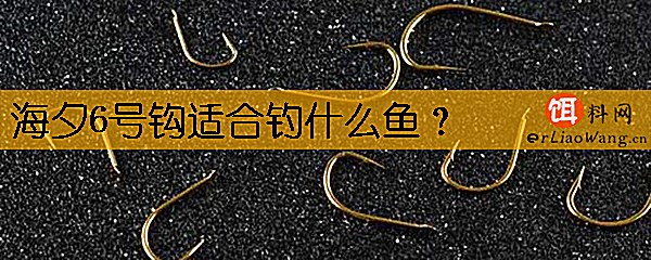 海夕6号钩适合钓什么鱼