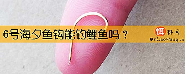 6号海夕鱼钩能钓鲤鱼吗