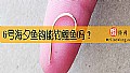 《6号海夕鱼钩能钓鲤鱼吗?》封面图