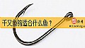 《千又鱼钩适合什么鱼?》封面图