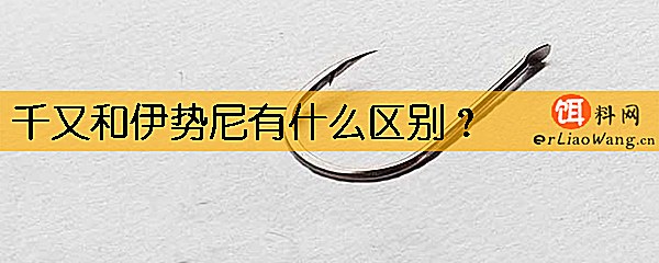 千又和伊势尼有什么区别