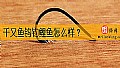 千又鱼钩钓鲤鱼怎么样?