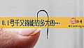 0.1号千又钩能钓多大的鱼?